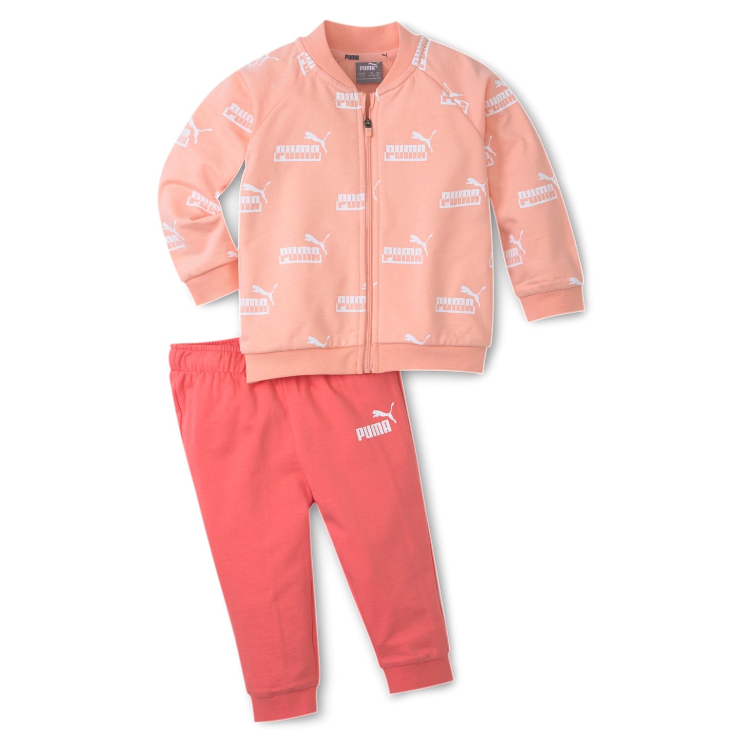 MINICATS AMPLIFIED JOGGER