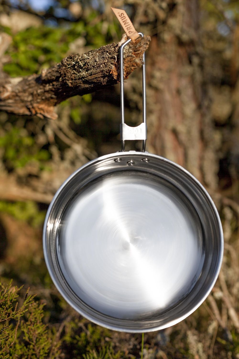 Campfire Stekpanna 25