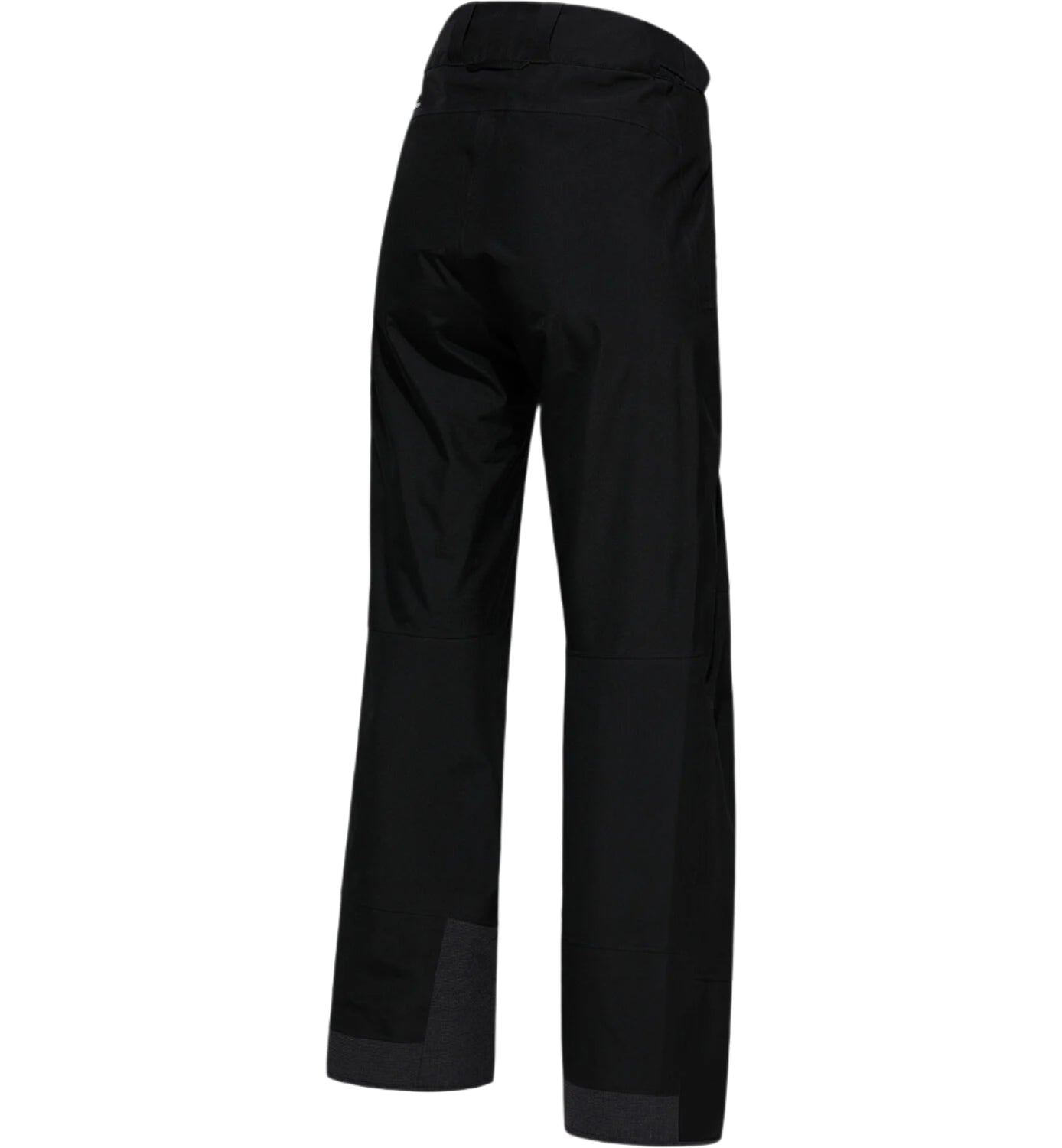 Alpine GTX pant W