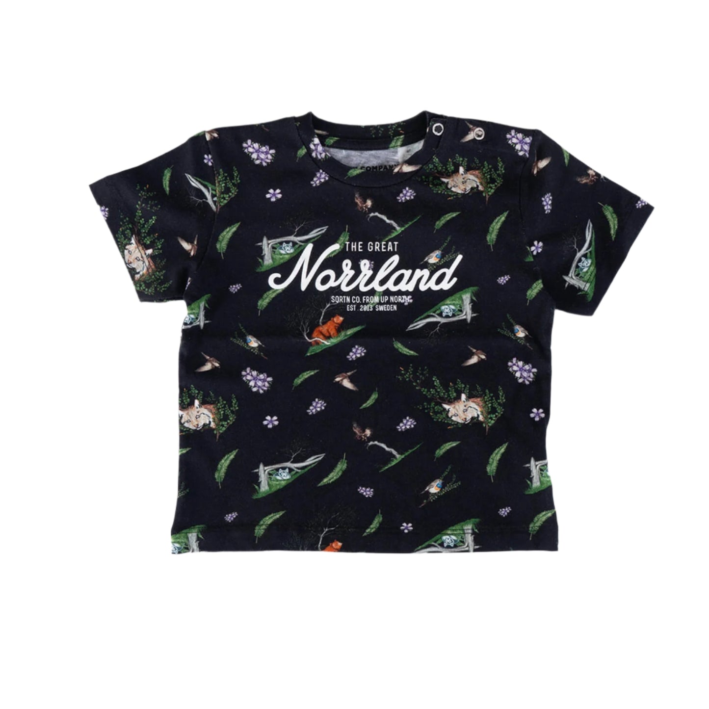 Great Norrland Kids T-shirt - Fjällbjörk