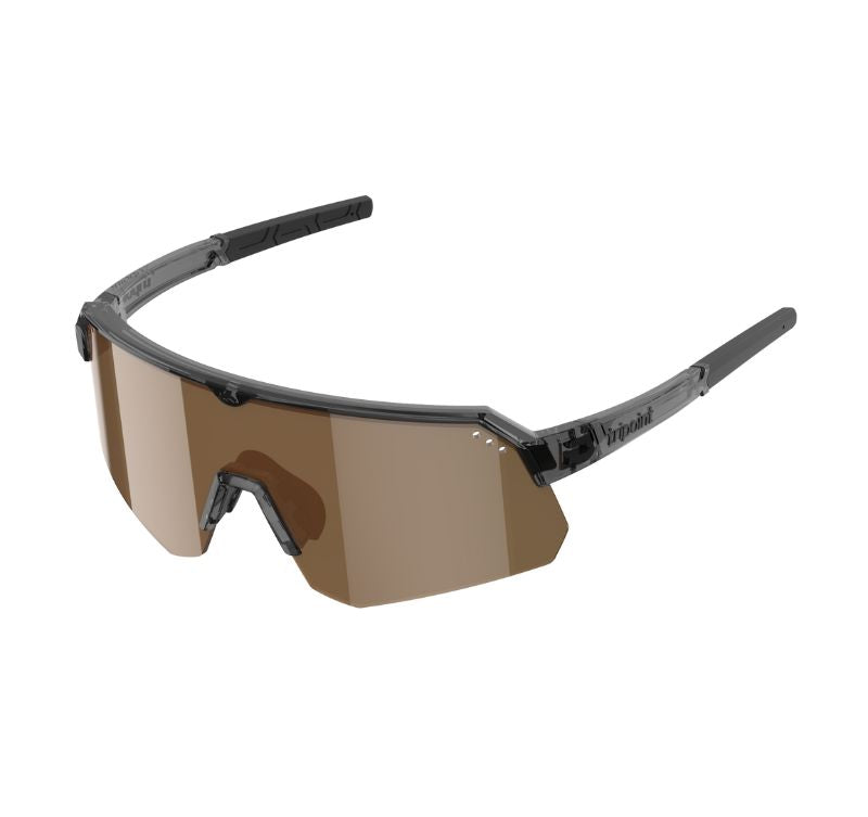 001 Treriksröset Shiny Transp Black / POL Brown SIlver Mirror