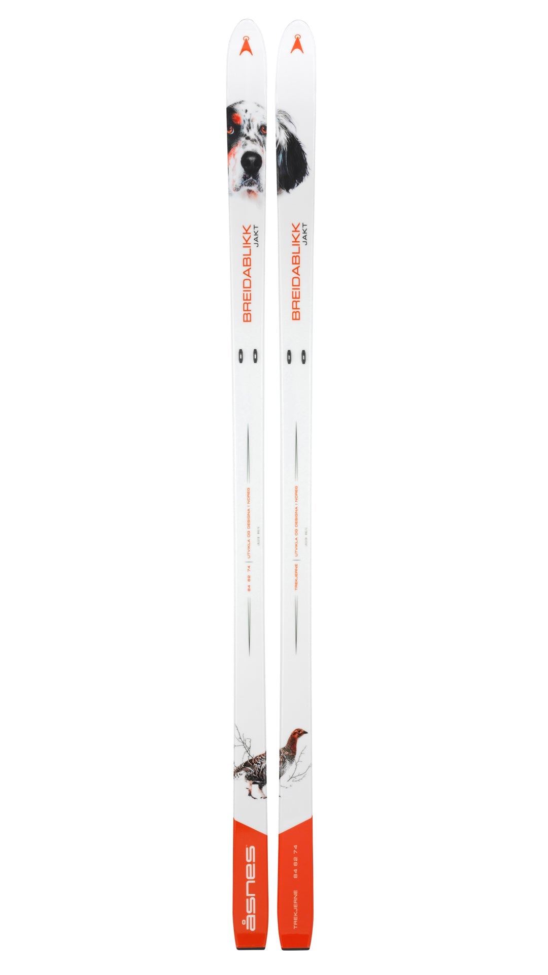 PAKET – Breidablikk Hunter BC Ski med BC-bindning och Pjäxor