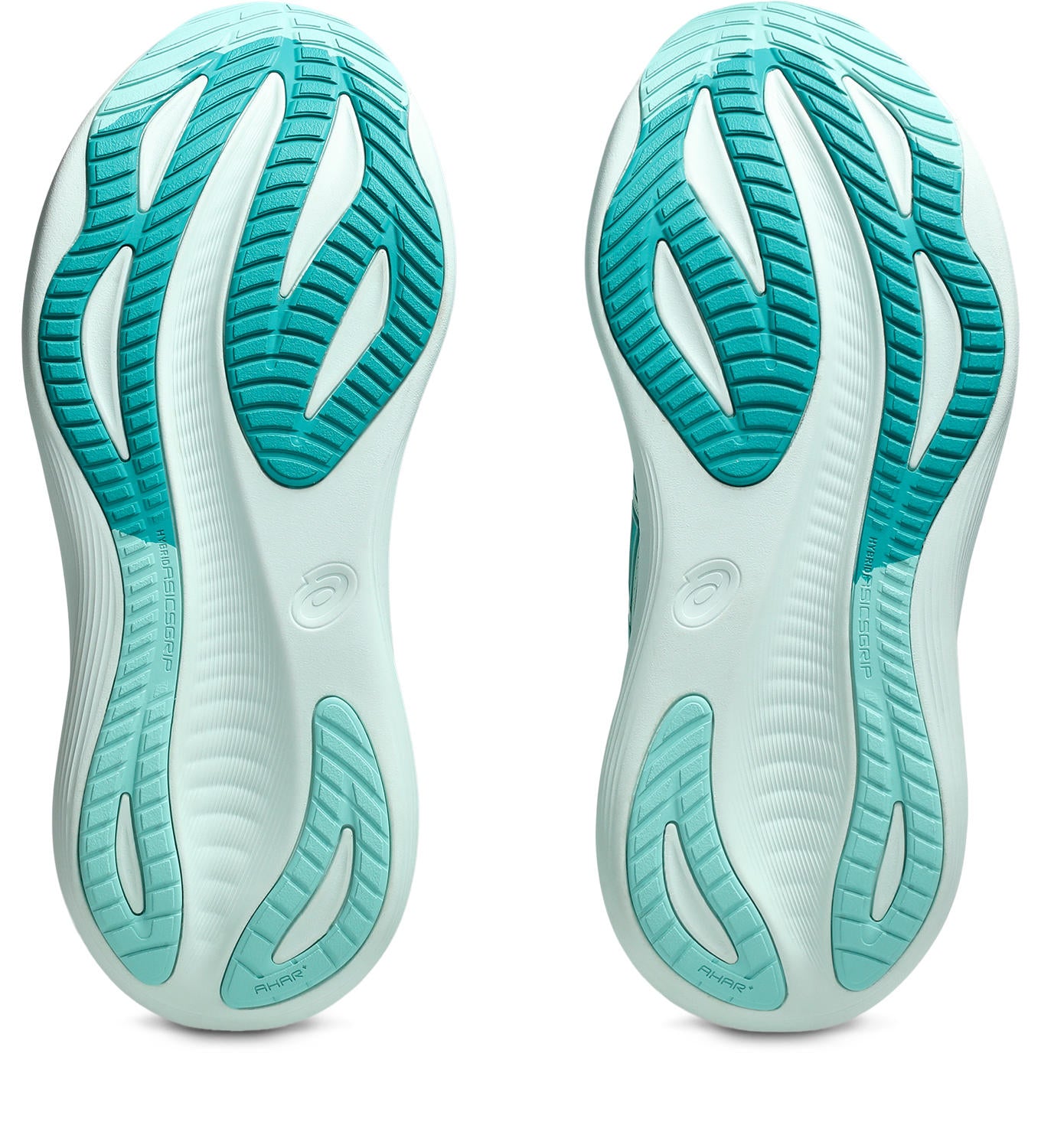 GEL-Nimbus 27 Dam