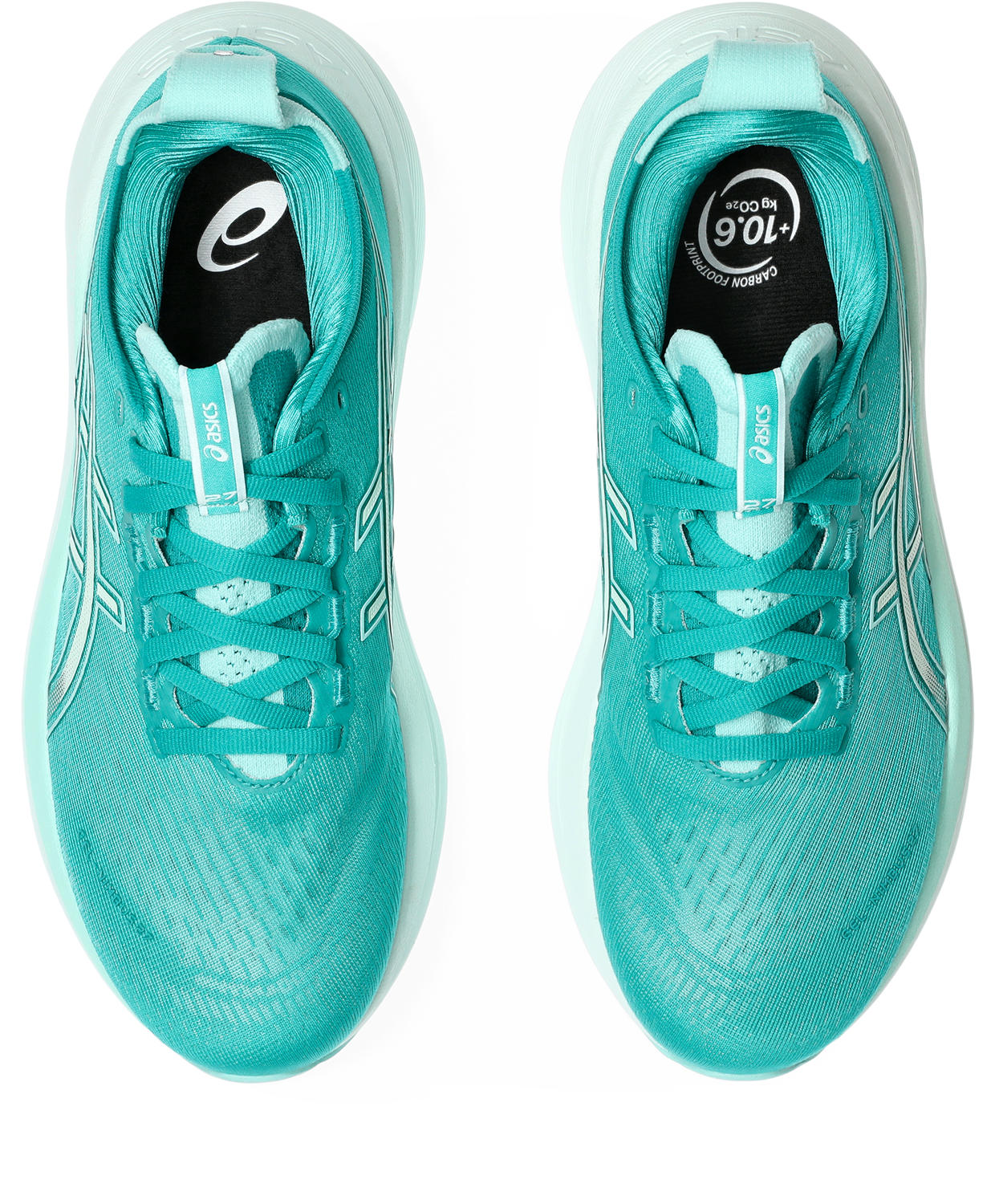 GEL-Nimbus 27 Dam
