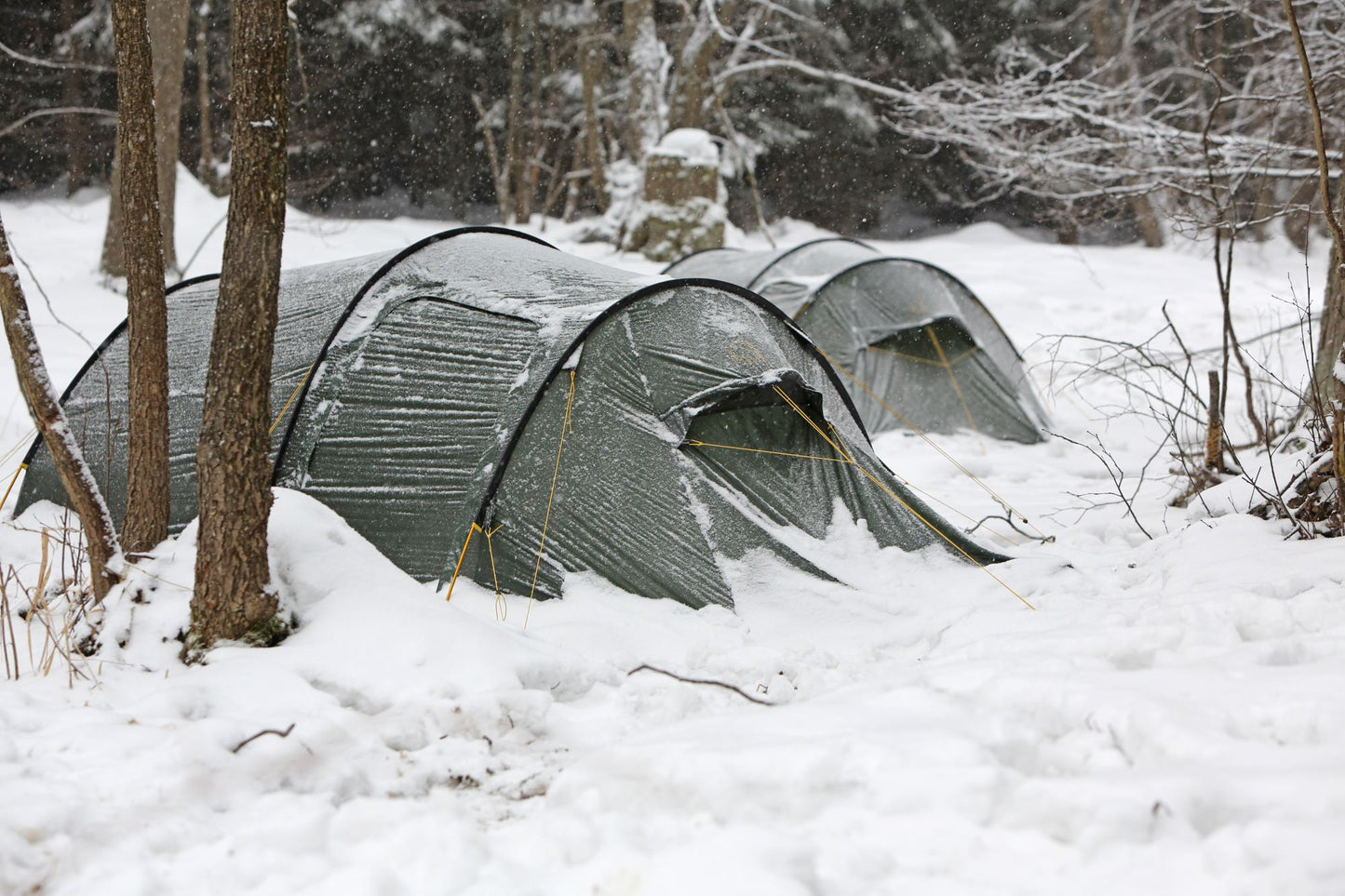 Oppland 3 SI Tent, Forest Green