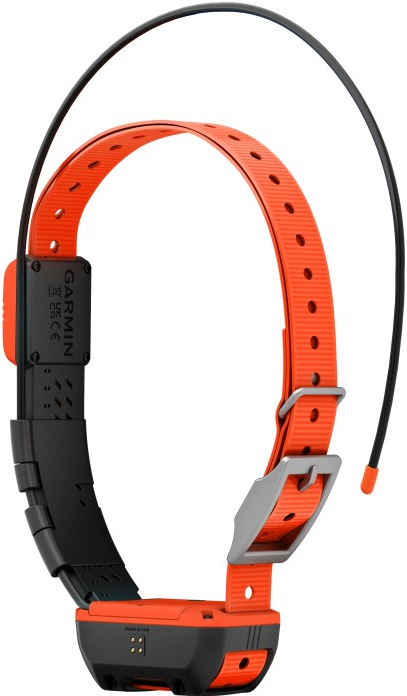 Alpha T20 GPS collar, Nordic