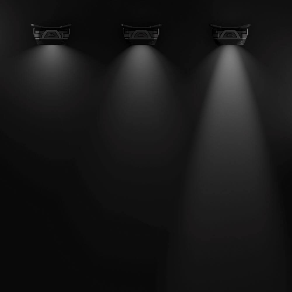 Discover Black