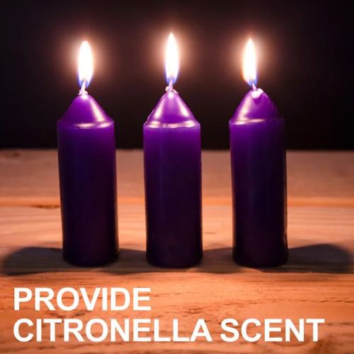 Citronella Ljus för Original och Candelier (3-pack)