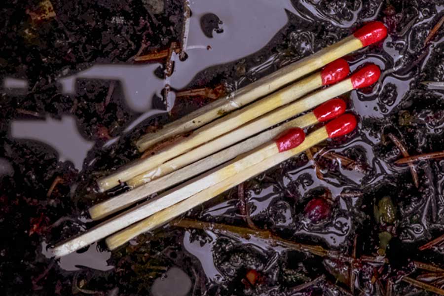 Waterproof Matches, 4-pack - vattentåliga tändstickor