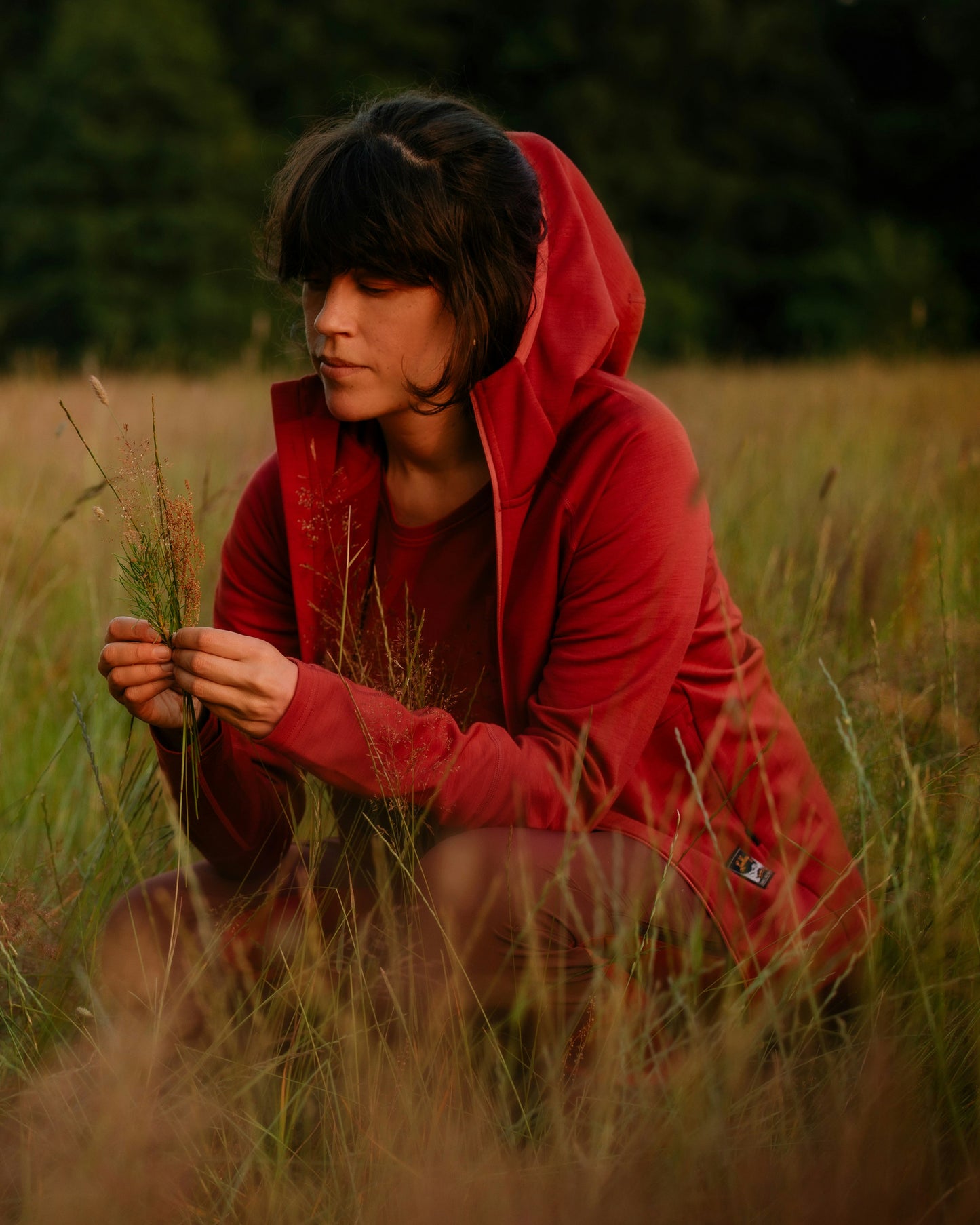 Tived Merino Hoodie W (Dam)