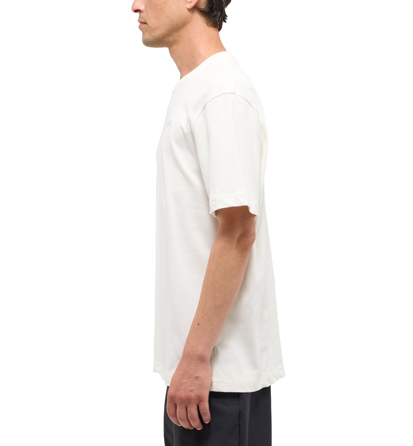 Haglöfs Tee Men (Herr) - T-shirt i ekologisk bomull