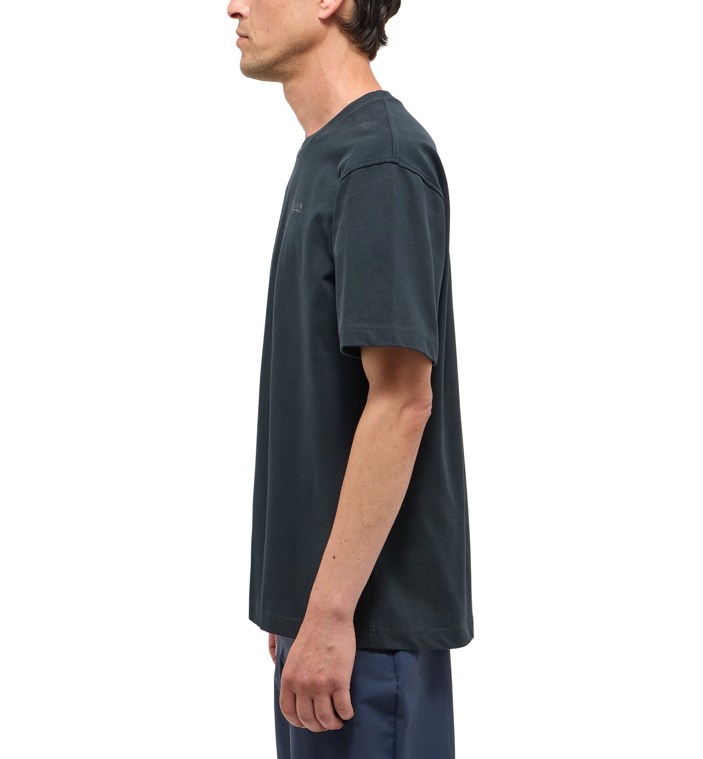 Haglöfs Tee Men (Herr) - T-shirt i ekologisk bomull
