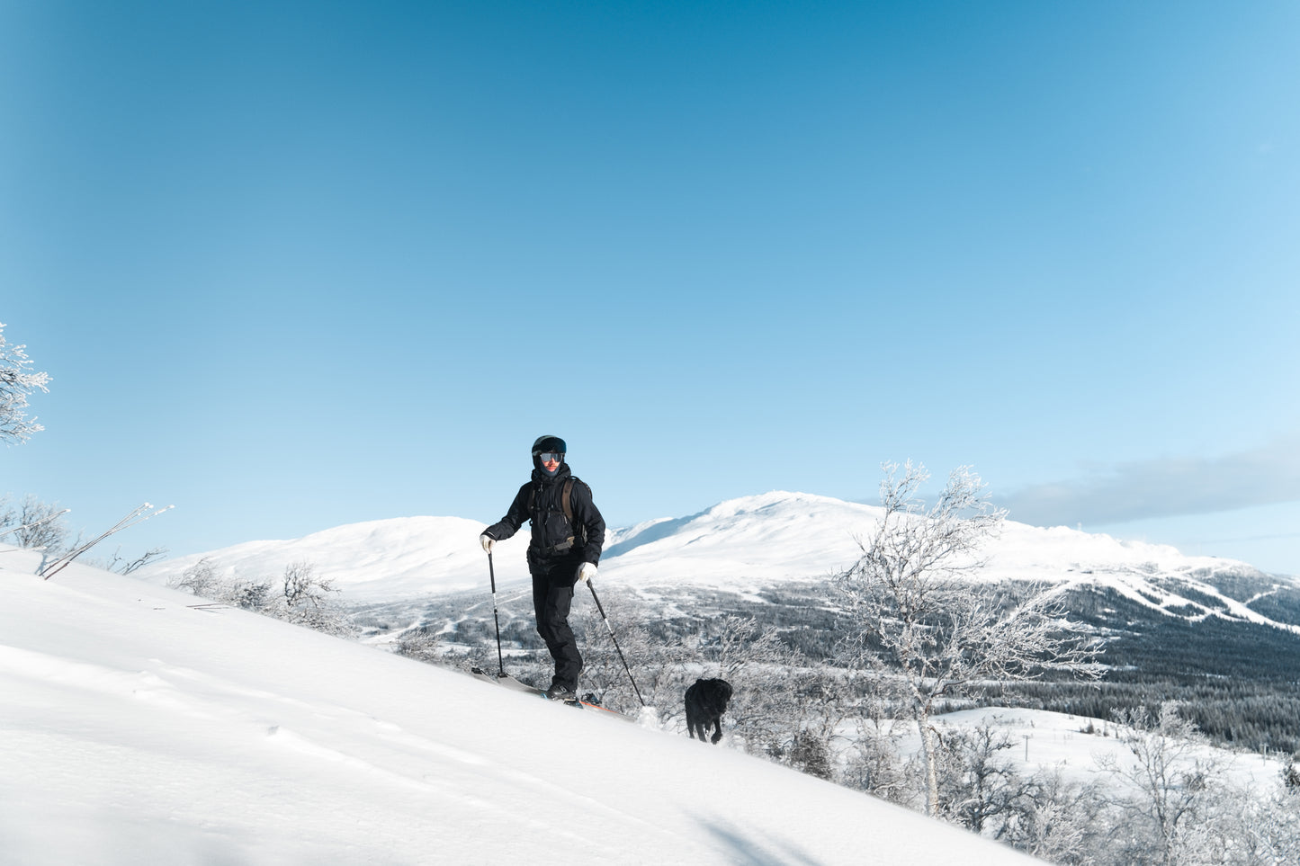 111 Indira Col Magnet