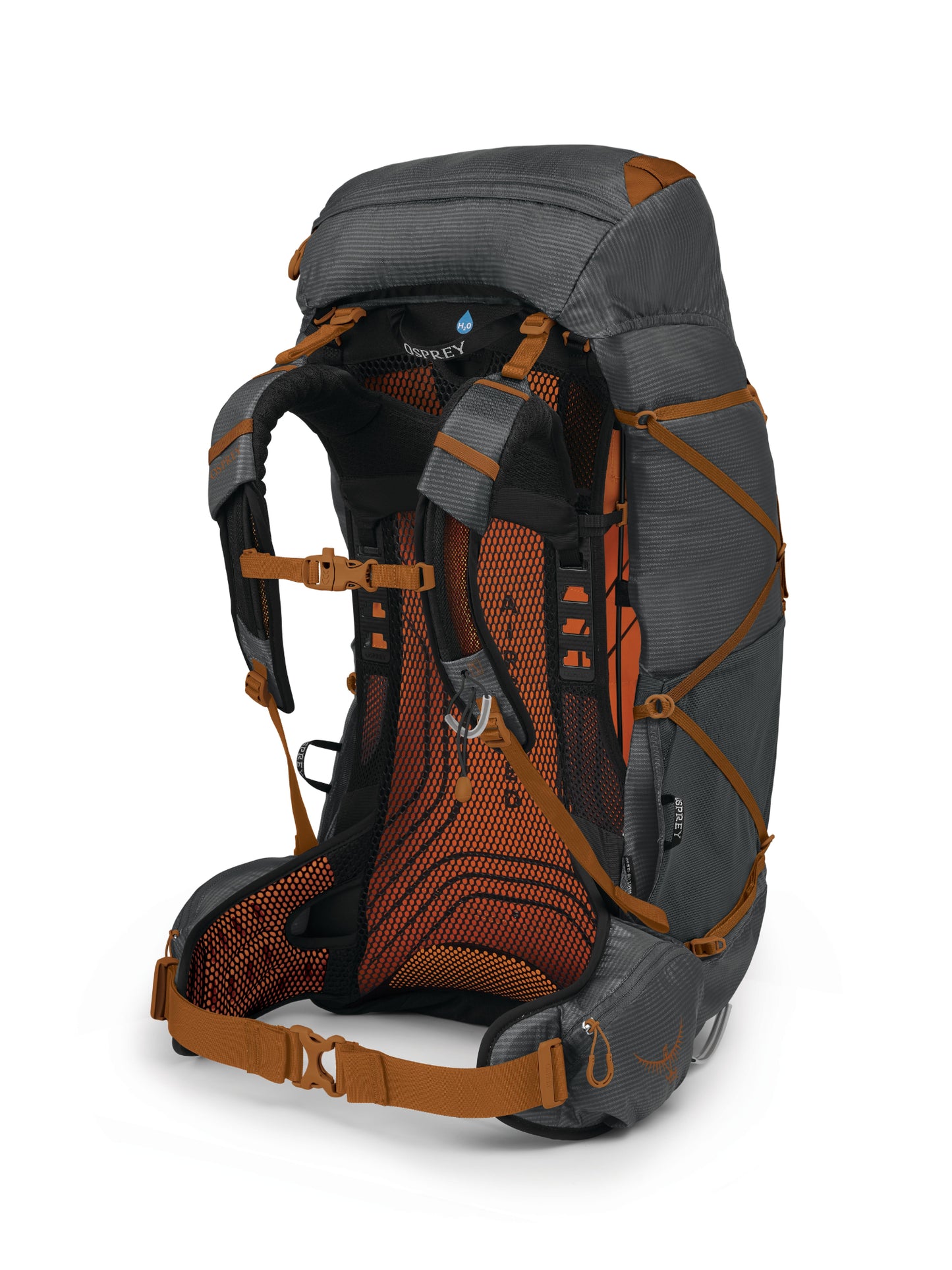 Exos 58