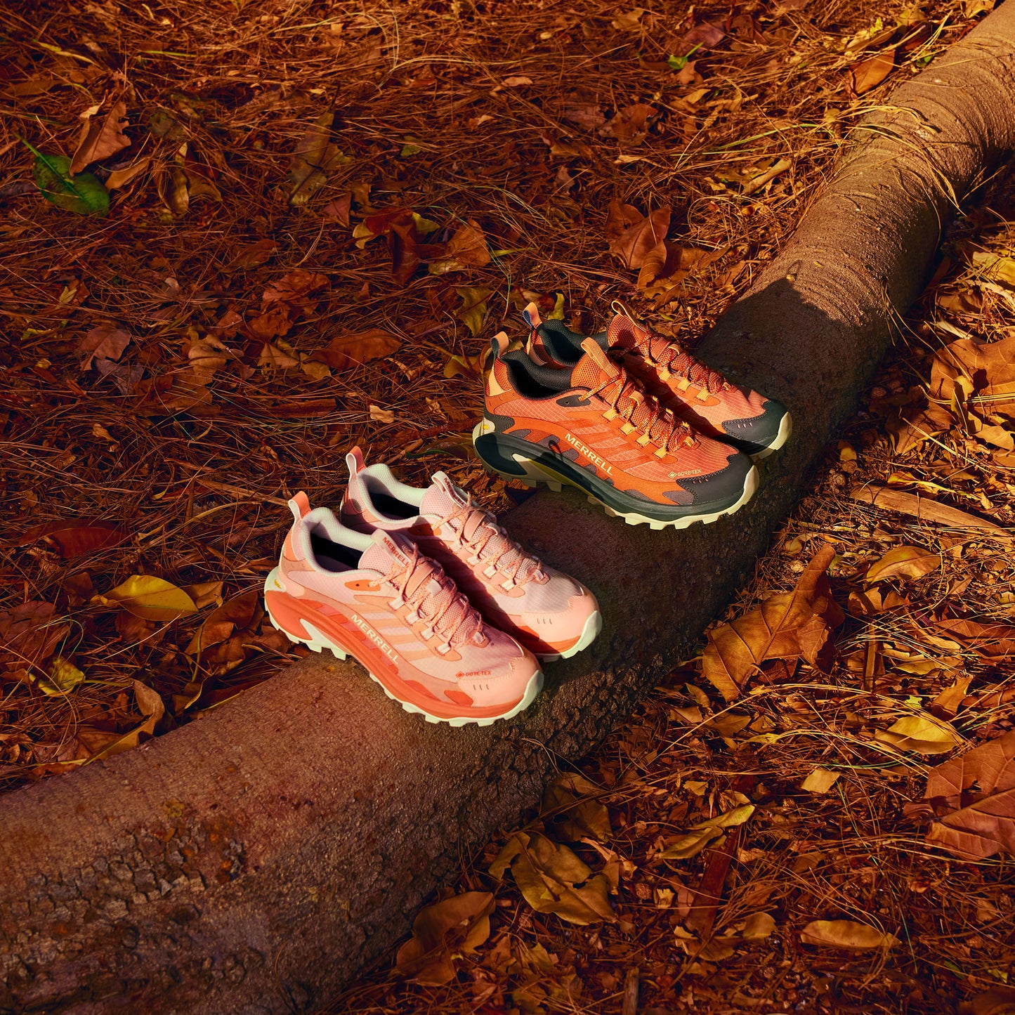 Moab Speed 2 Gore-Tex (Herr)