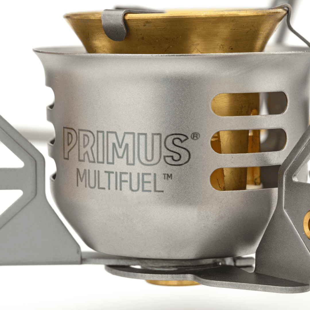 Multifuel stove
