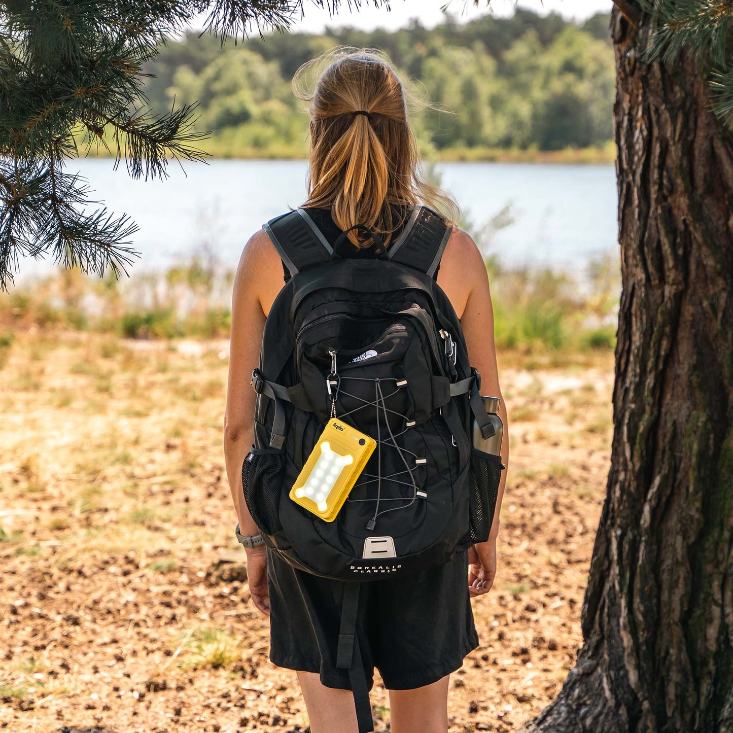 Powerbird BS10 - Solcellsdriven powerbank med belysning