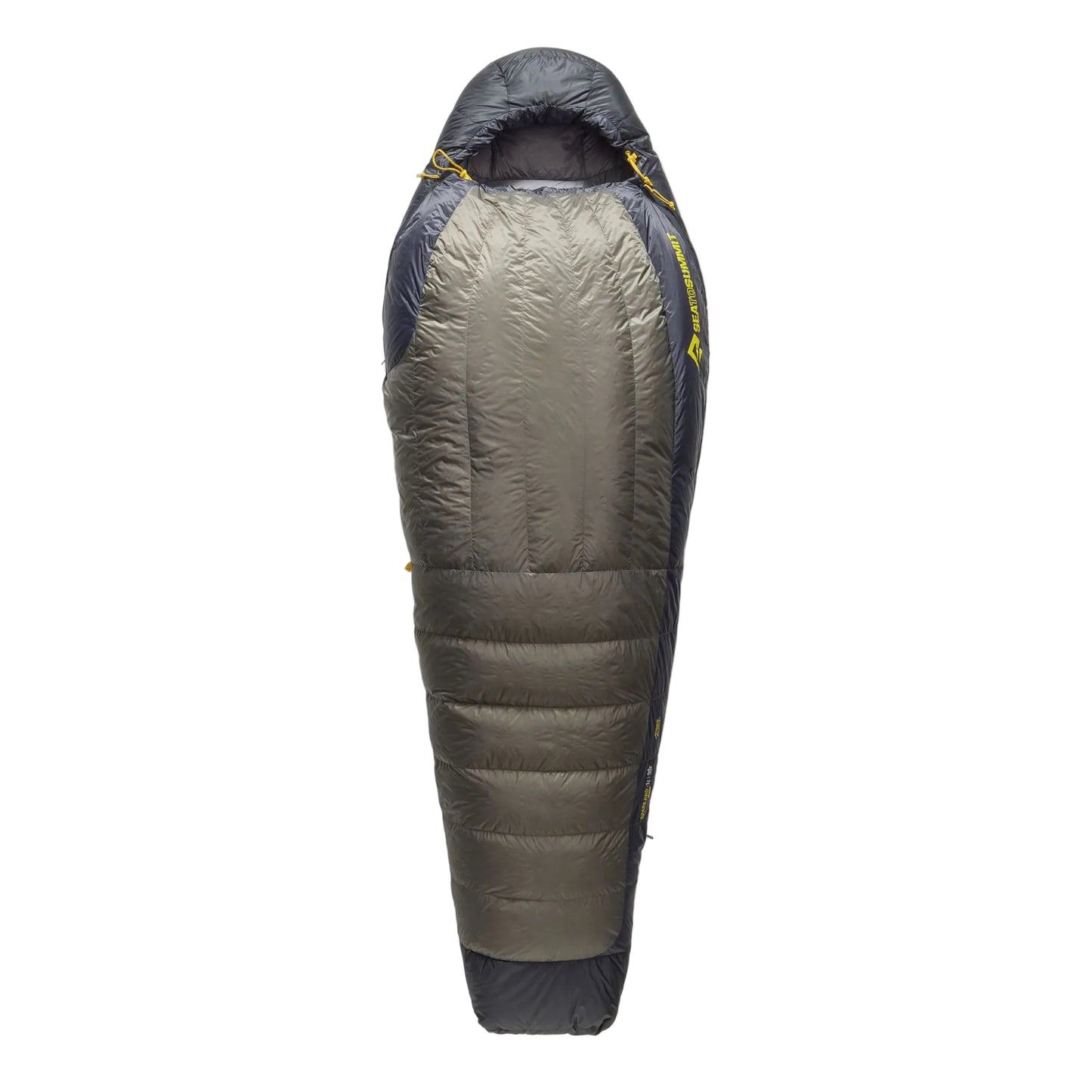 SPARK PRO -1C Regular