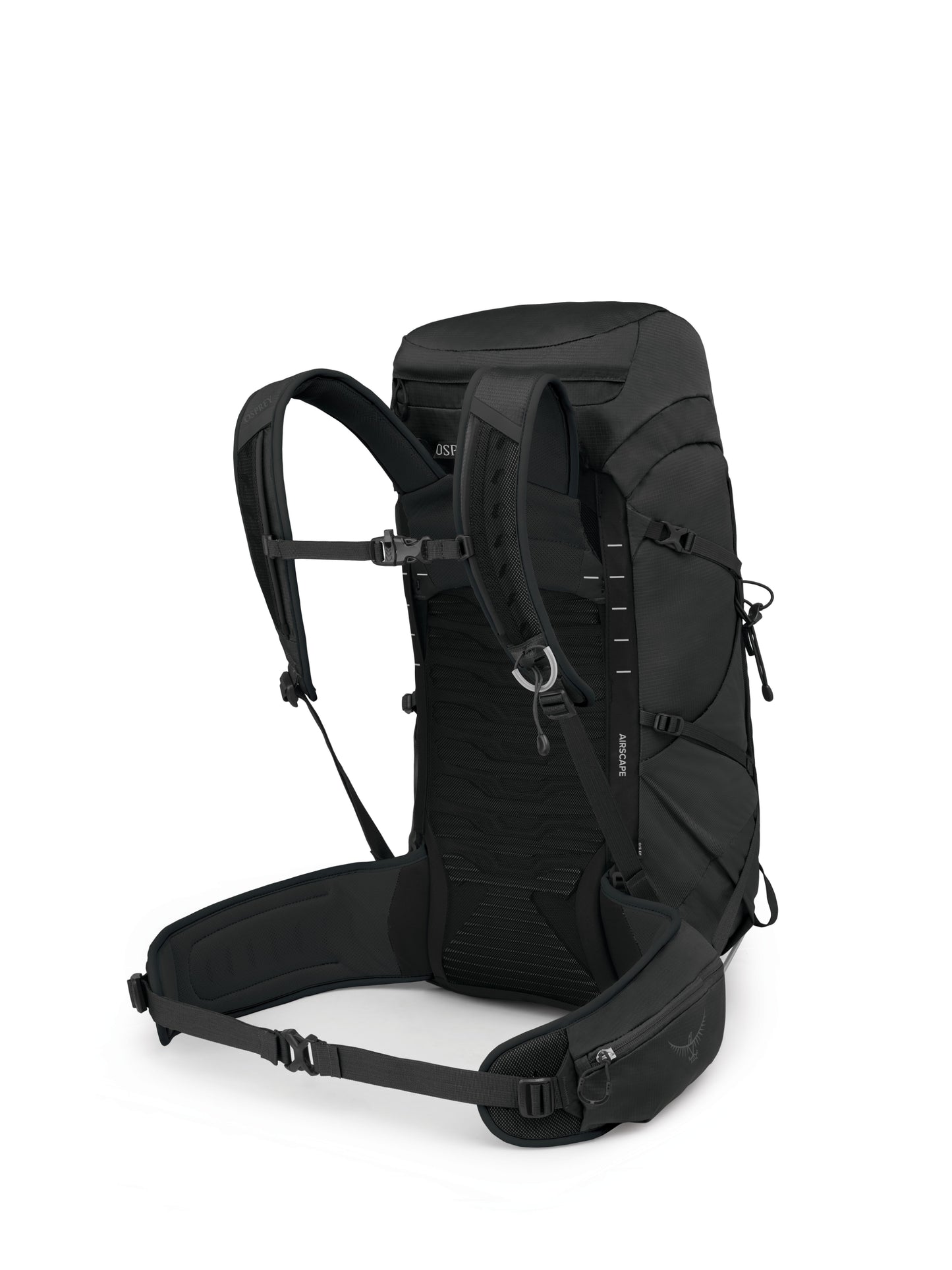 Talon 33
