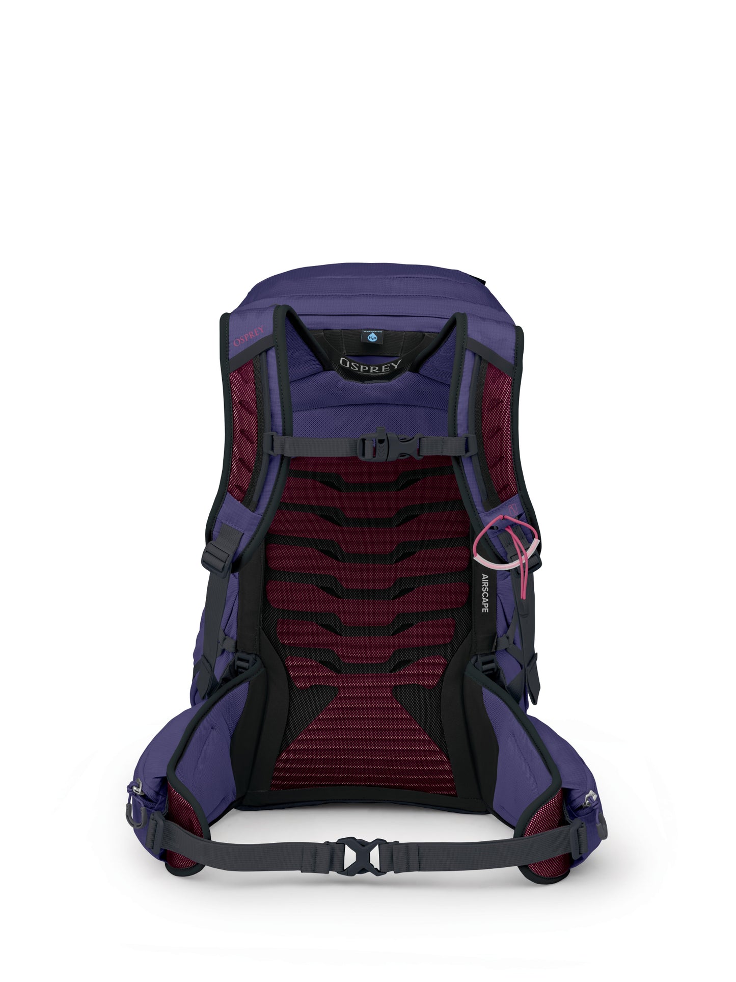 Tempest 26